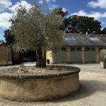A Family Day Out at Blenheim Palace