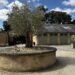 A Family Day Out at Blenheim Palace