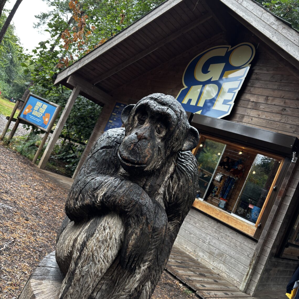 Go Ape Wendover