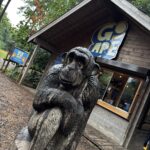 Go Ape Wendover