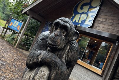Go Ape Wendover