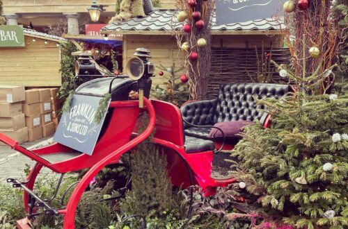5 Things You Can Do Now for a Stress-Free Christmas 2026