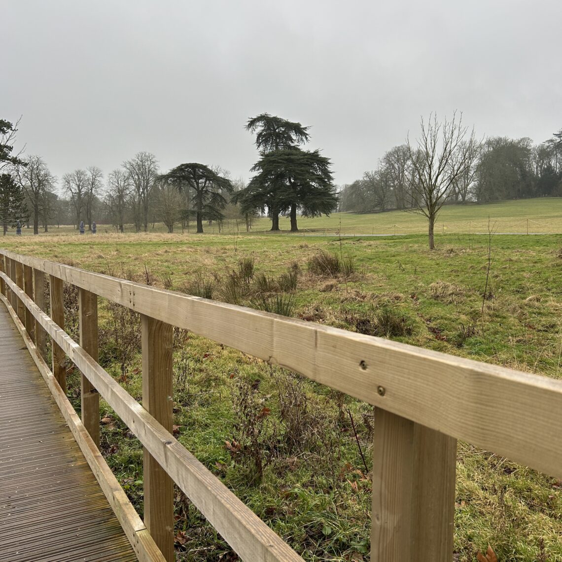 Setting Us Up for Success in January