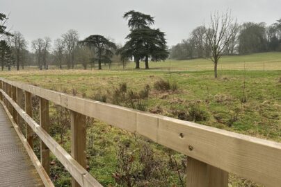 Setting Us Up for Success in January