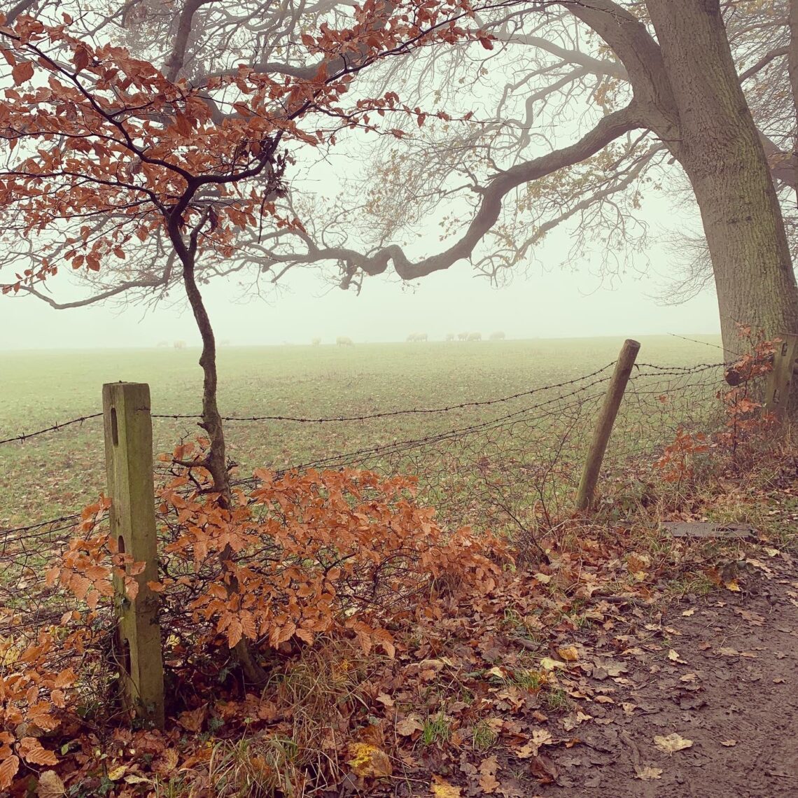 Navigating Halloween as a Christian Plus 10 Activities