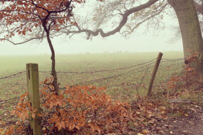 Navigating Halloween as a Christian Plus 10 Activities