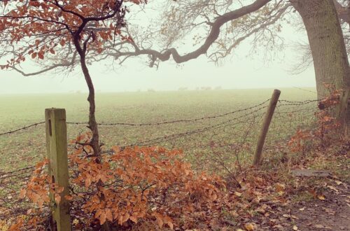 Navigating Halloween as a Christian Plus 10 Activities