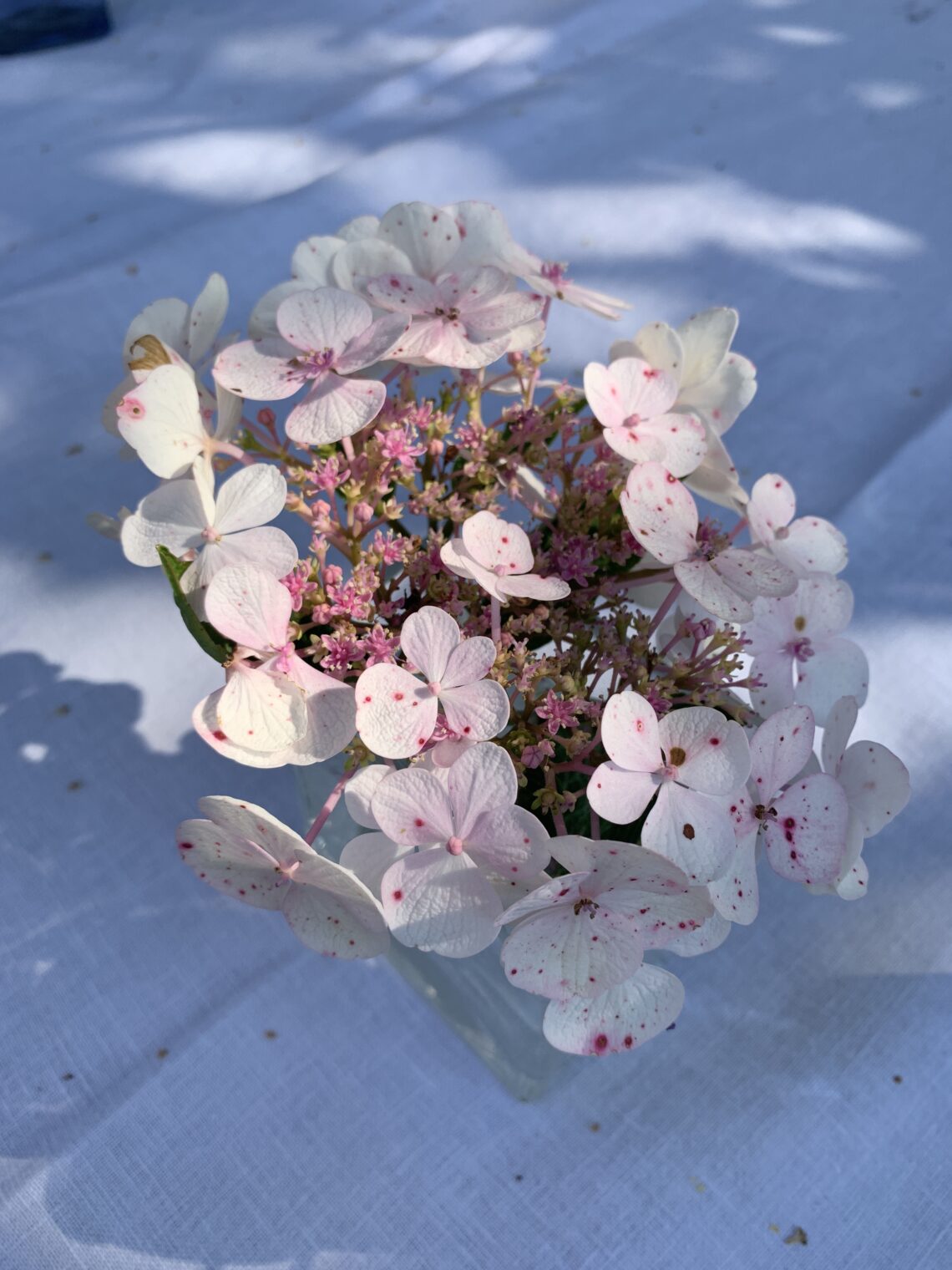 10 Elevated Solo Moments to Enjoy at Home