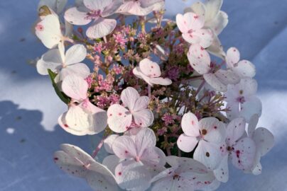 10 Elevated Solo Moments to Enjoy at Home