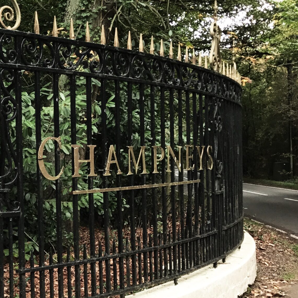 Rediscover Yourself: 10 Inspiring Solo Things to Do Away from Home