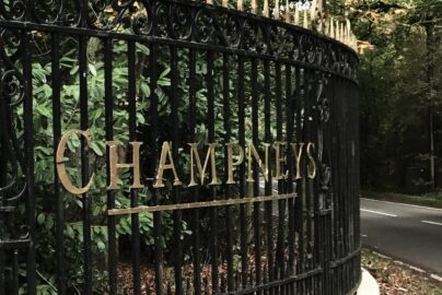 Rediscover Yourself: 10 Inspiring Solo Things to Do Away from Home