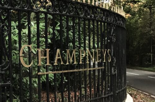 Rediscover Yourself: 10 Inspiring Solo Things to Do Away from Home