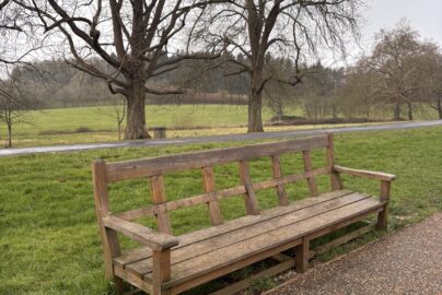 January: Life & Moments