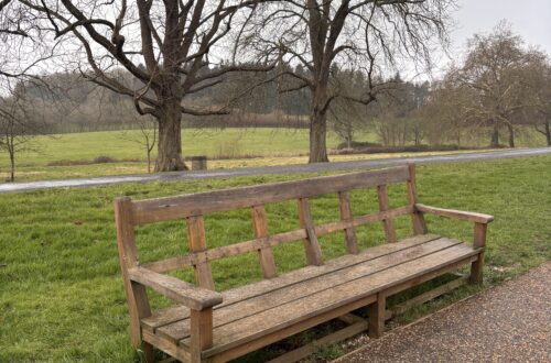 January: Life & Moments