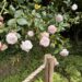 June: Life & Moments