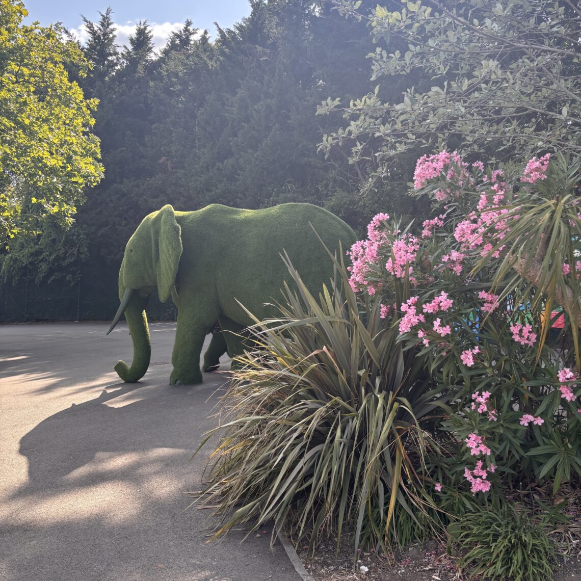 Chessington World of Adventures, Summer 2026