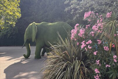 Chessington World of Adventures, Summer 2026