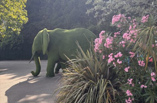 Chessington World of Adventures, Summer 2026
