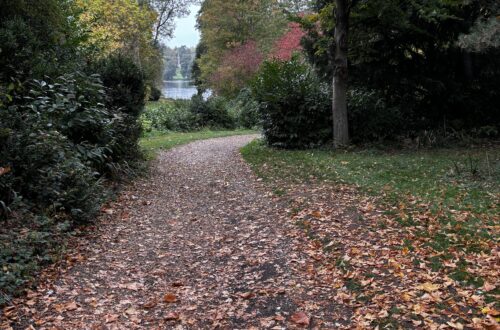 Our Favourite Autumn Family Activities