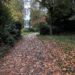 Our Favourite Autumn Family Activities